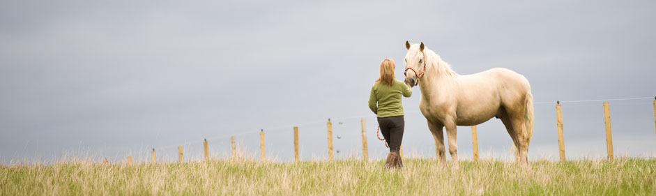 Kedlock House Equestrian